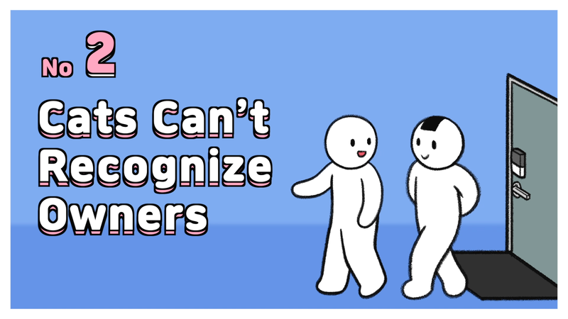 Cat_owner_sayX_2_