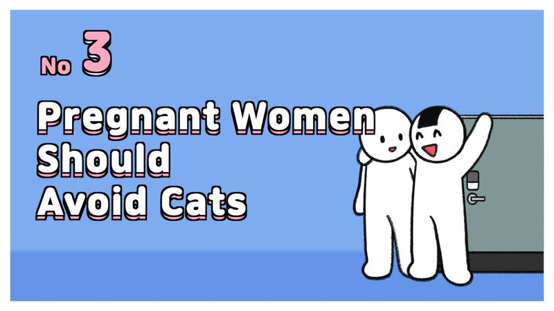 Cat_owner_sayX_3_
