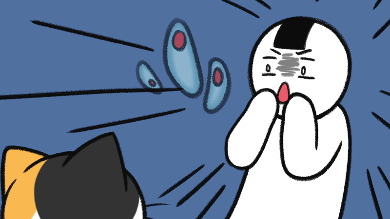 Cat_owner_sayX_3_1
