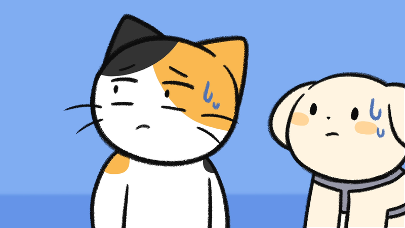 Cat_owner_sayX_4_2