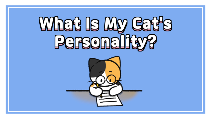 Cat_personality_0_