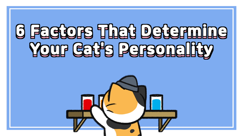 Cat_personality_determine_0_