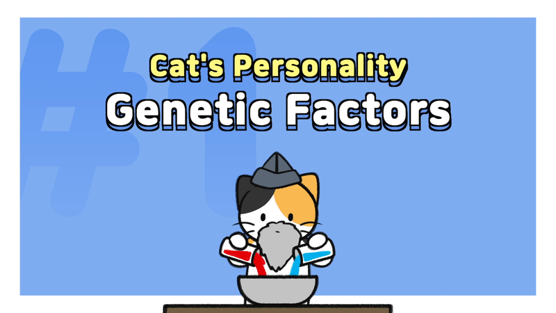 Cat_personality_determine_0_1