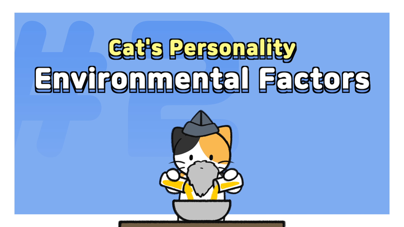 Cat_personality_determine_0_2