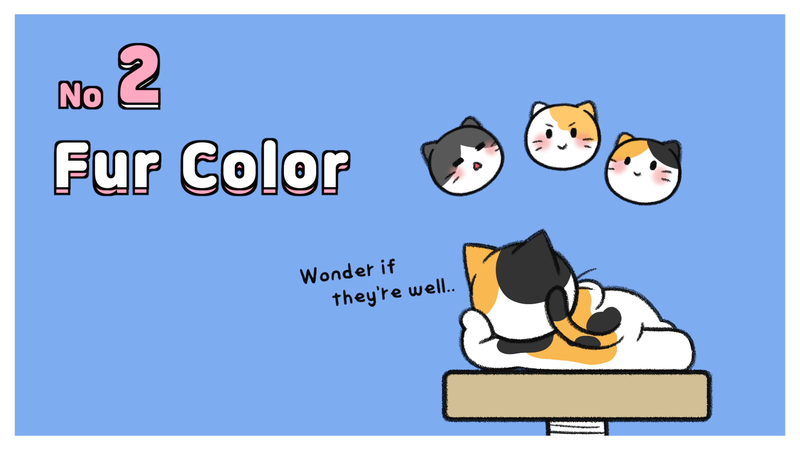 Cat_personality_determine_2_