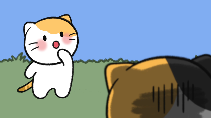 Cat_personality_determine_2_2