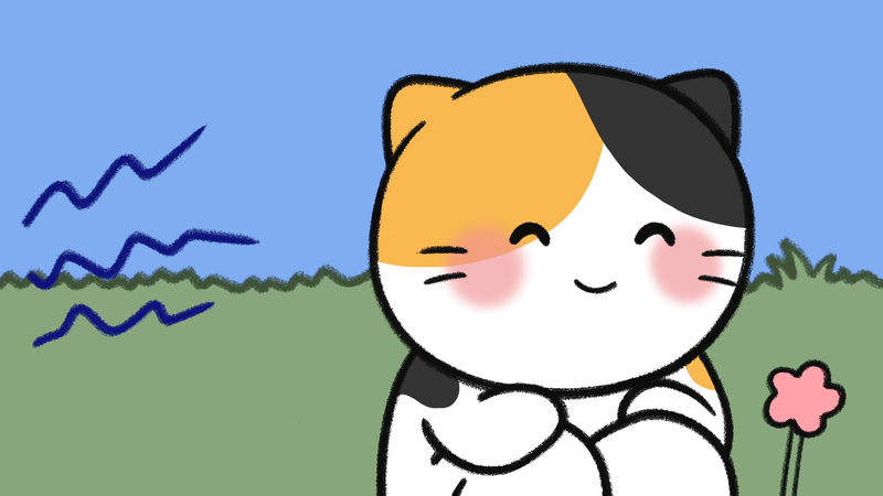 Cat_personality_determine_2_3