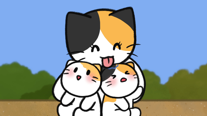 Cat_personality_determine_3_3