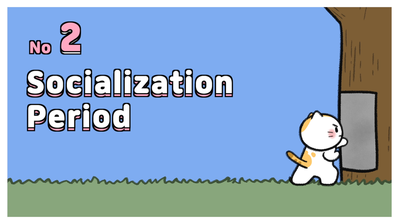 Cat_personality_determine_4_