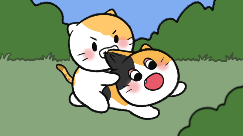 Cat_personality_determine_4_1