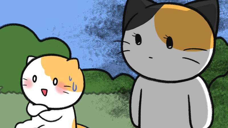 Cat_personality_determine_4_2