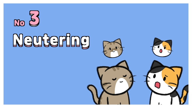 Cat_personality_determine_5_