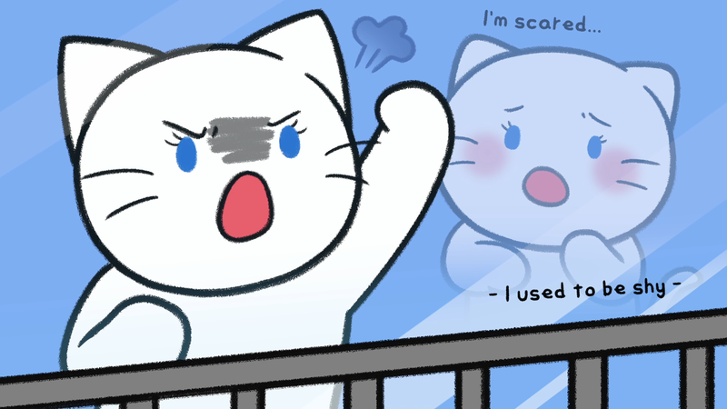 Cat_personality_determine_5_1