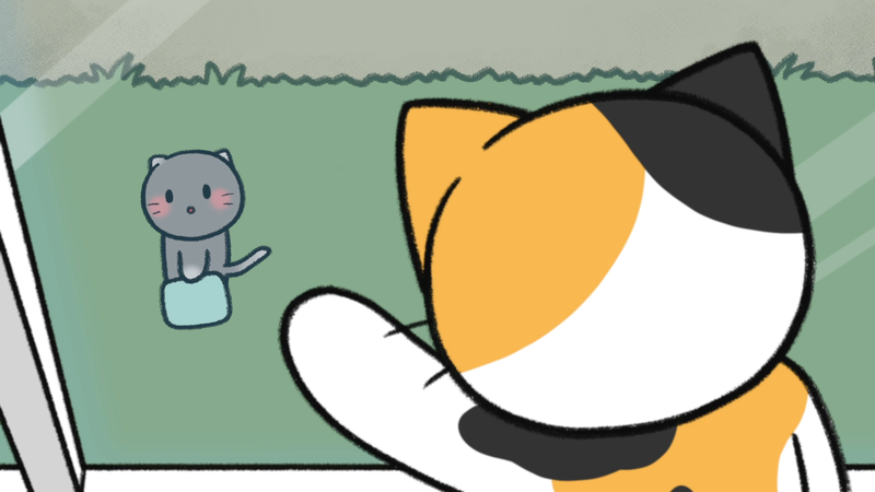 Cat_personality_determine_5_2