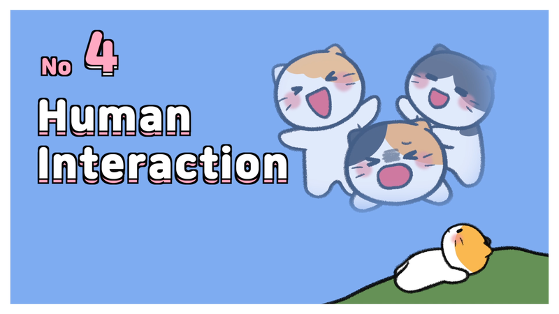 Cat_personality_determine_6_