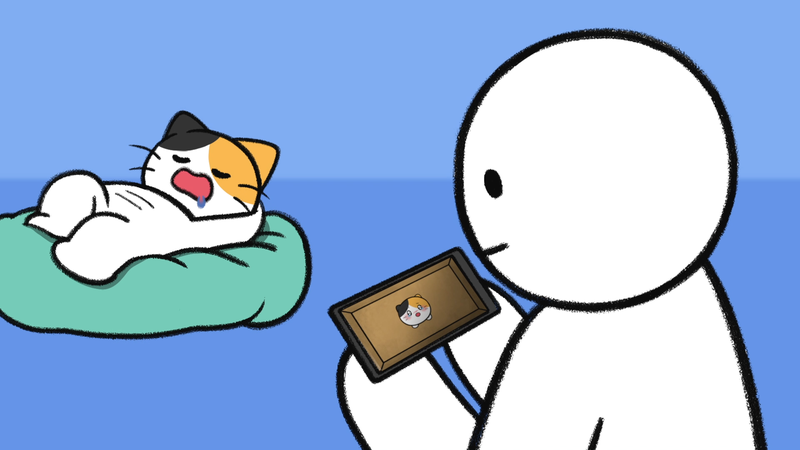 Cat_personality_determine_6_1