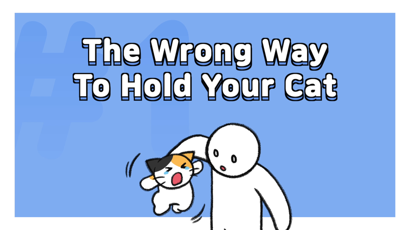 Cat_pick_up_1_