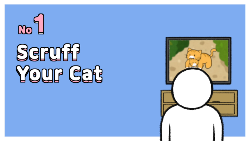 Cat_pick_up_1_1_