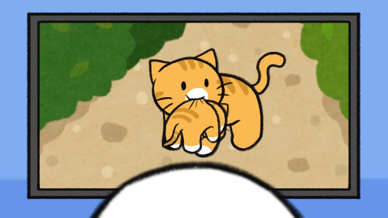 Cat_pick_up_1_1_1