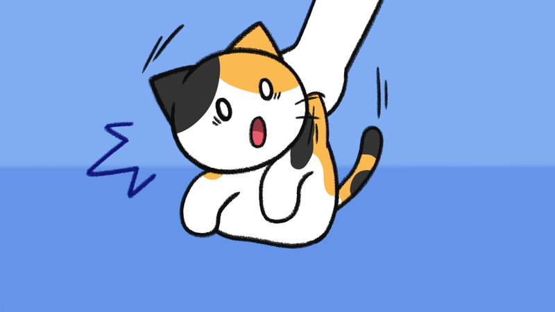 Cat_pick_up_1_1_2