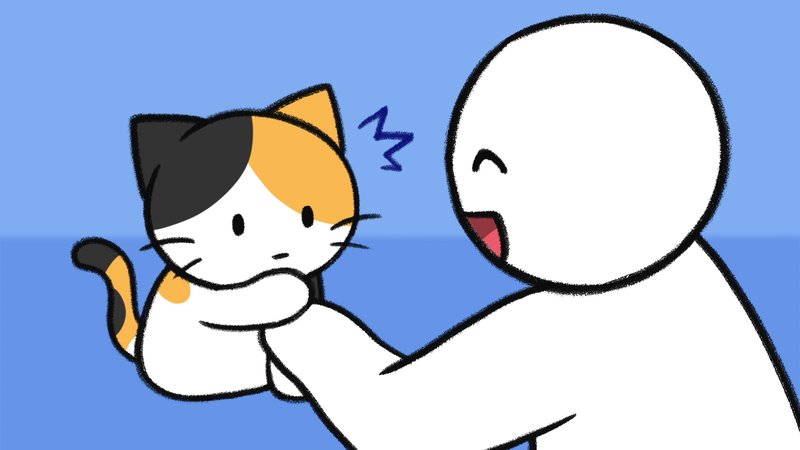Cat_pick_up_1_2_1