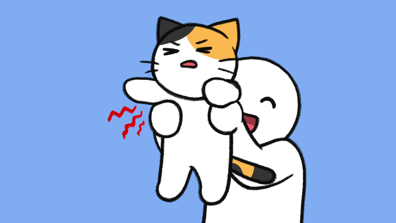 Cat_pick_up_1_2_2