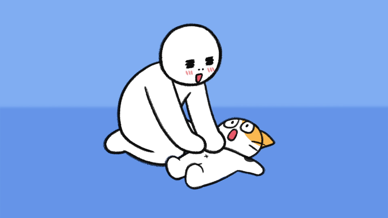 Cat_pick_up_1_3_1