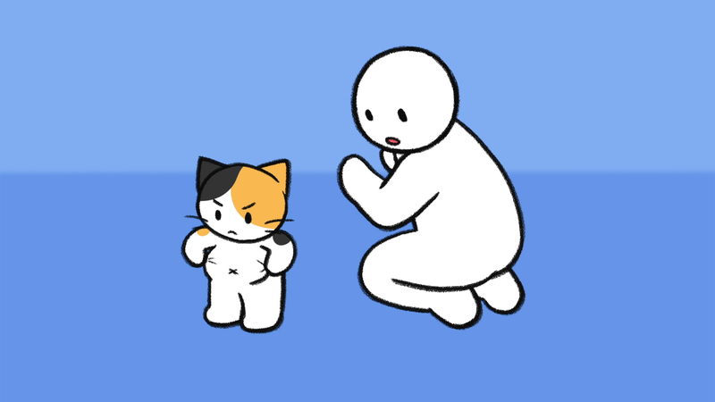 Cat_pick_up_1_3_2
