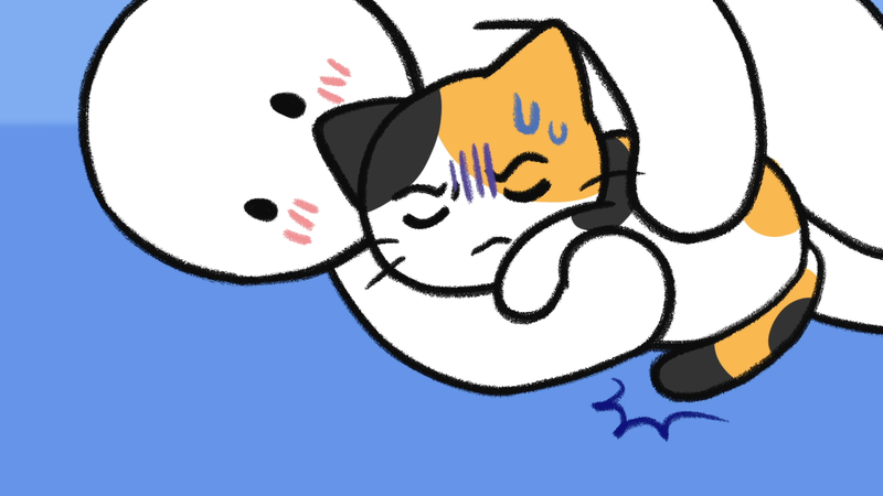 Cat_pick_up_2_1_2
