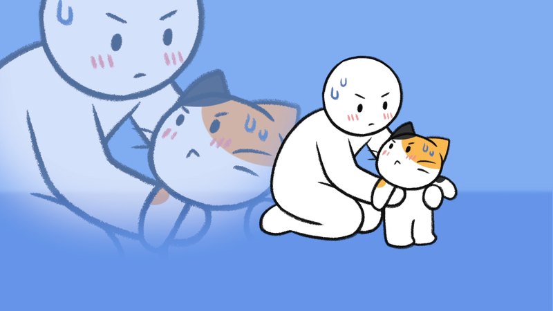 Cat_pick_up_2_2_2