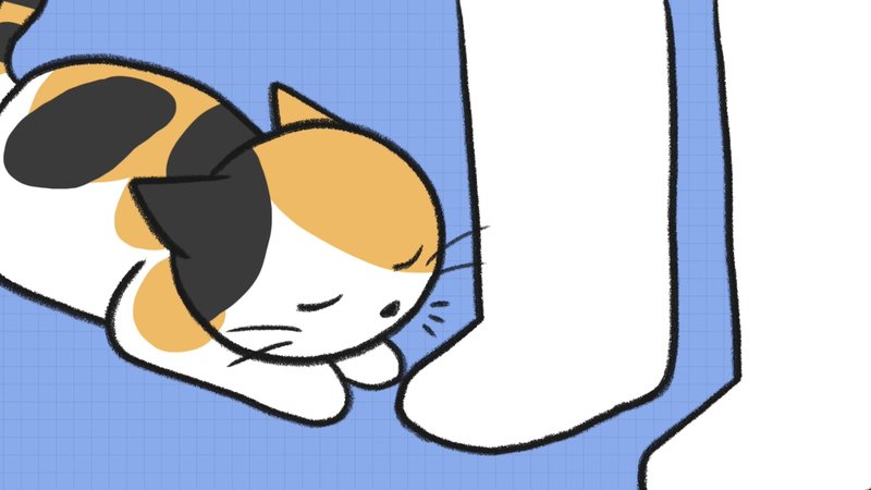 Cat_recognize_1_1