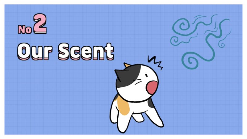 Cat_recognize_2_