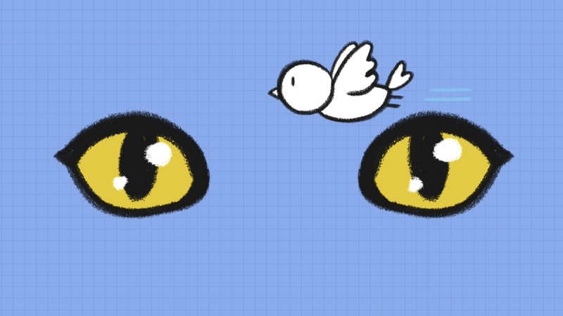 Cat_recognize_3_2