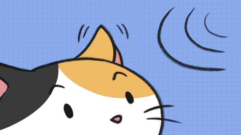 Cat_recognize_3_7