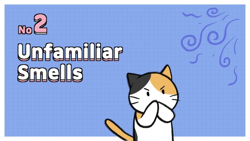 Cat_recognize_X_2_