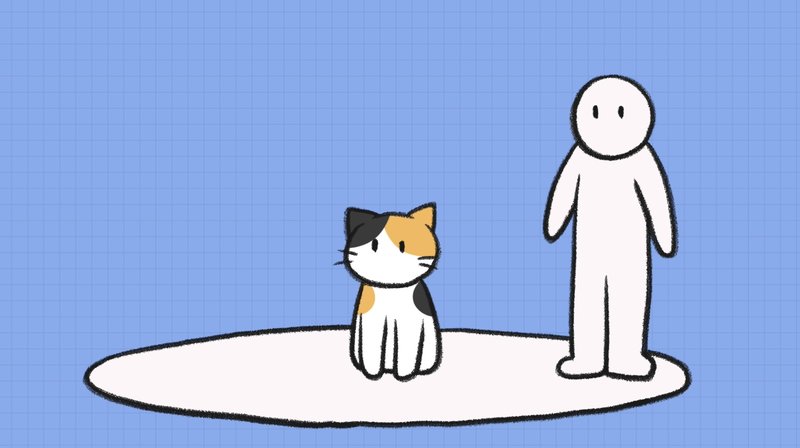 Cat_recognize_X_2_1