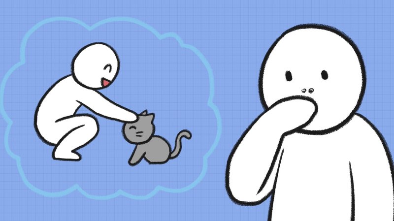 Cat_recognize_X_2_4
