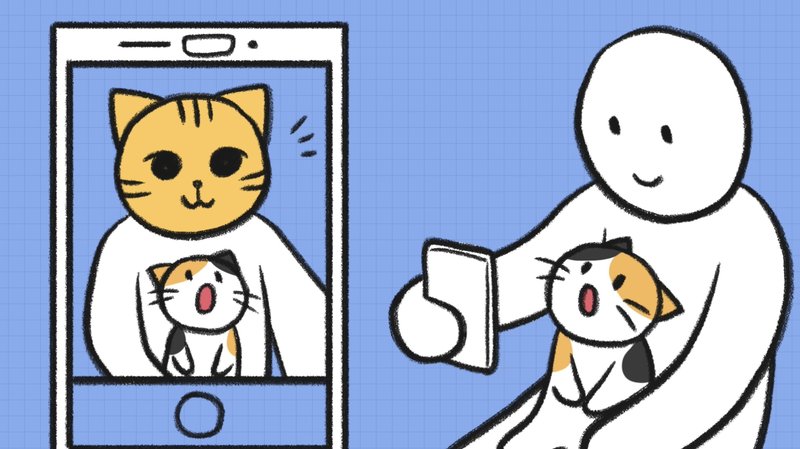 Cat_recognize_X_3_1