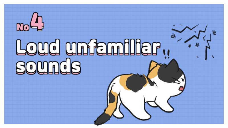 Cat_recognize_X_4_