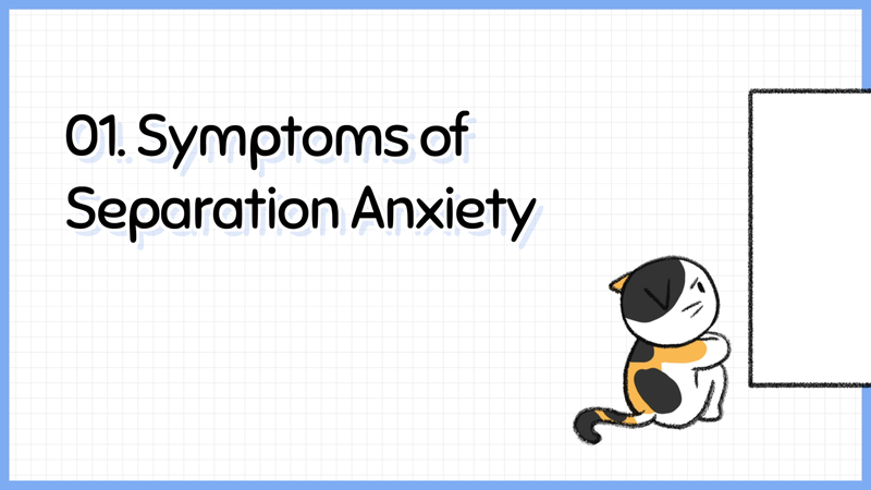 Cat_saparation_anxiety_1_