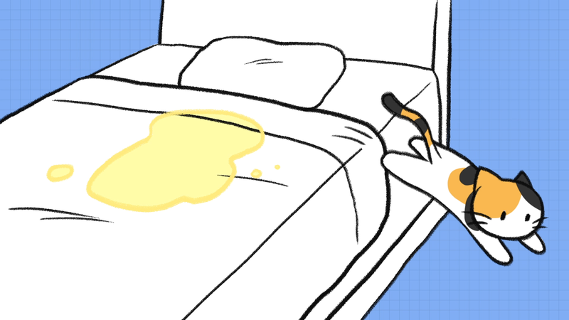 Cat_saparation_anxiety_1_2