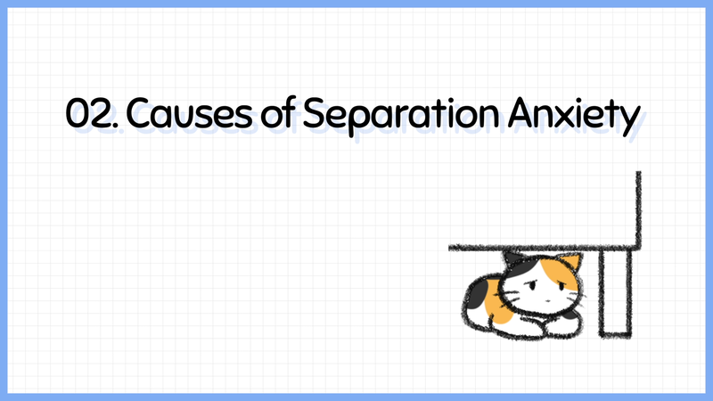 Cat_saparation_anxiety_2_