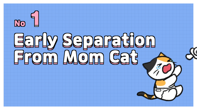 Cat_saparation_anxiety_2_1