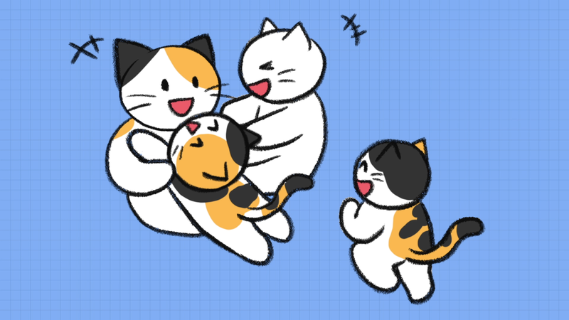 Cat_saparation_anxiety_2_1_2