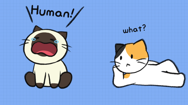 Cat_saparation_anxiety_2_2_1