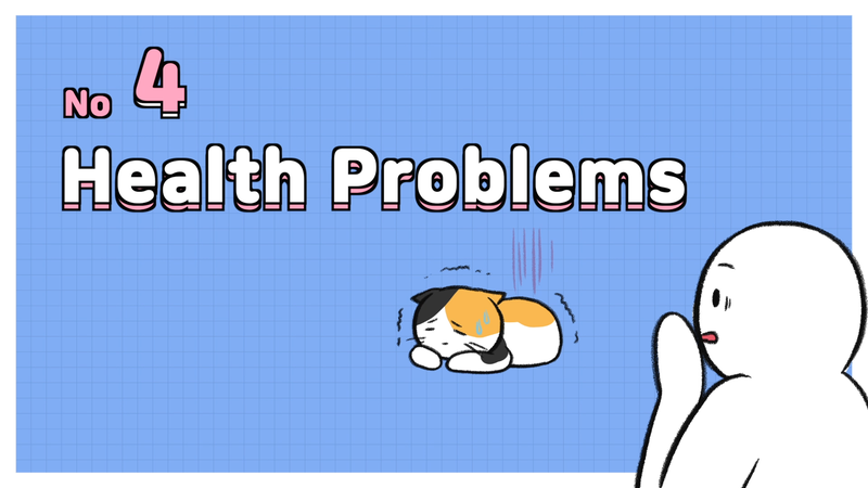 Cat_saparation_anxiety_2_4