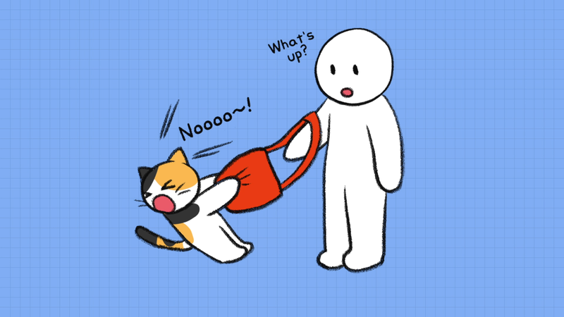 Cat_saparation_anxiety_3_2_1