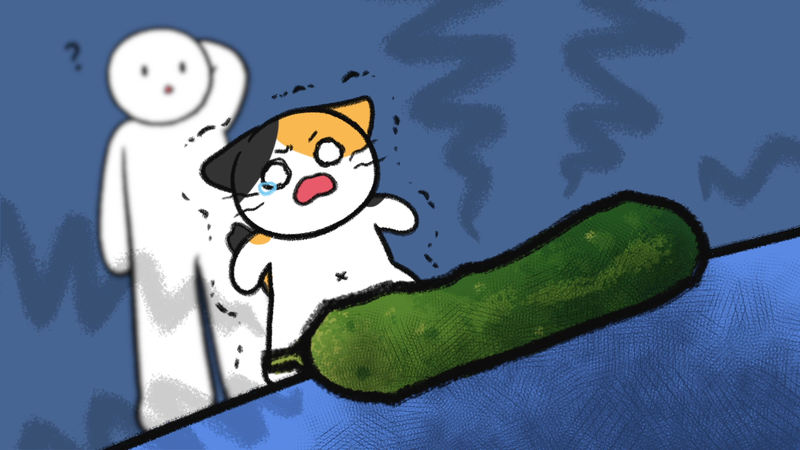 Cat_show_butts_1_1