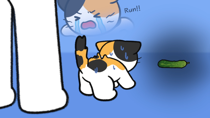 Cat_show_butts_1_2