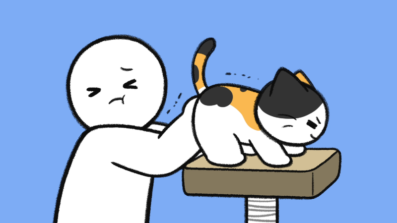 Cat_show_butts_2_2